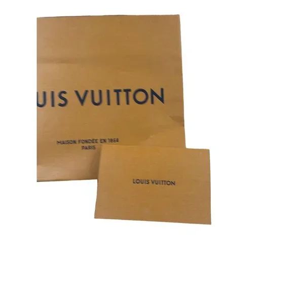 LOUIS VUITTON Small Square Shopping Gift Bag - Picture 3 of 4